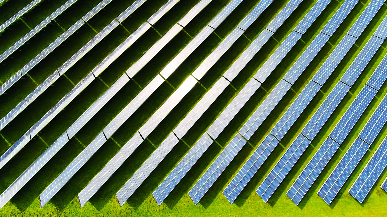 Implementación Bonos Verdes